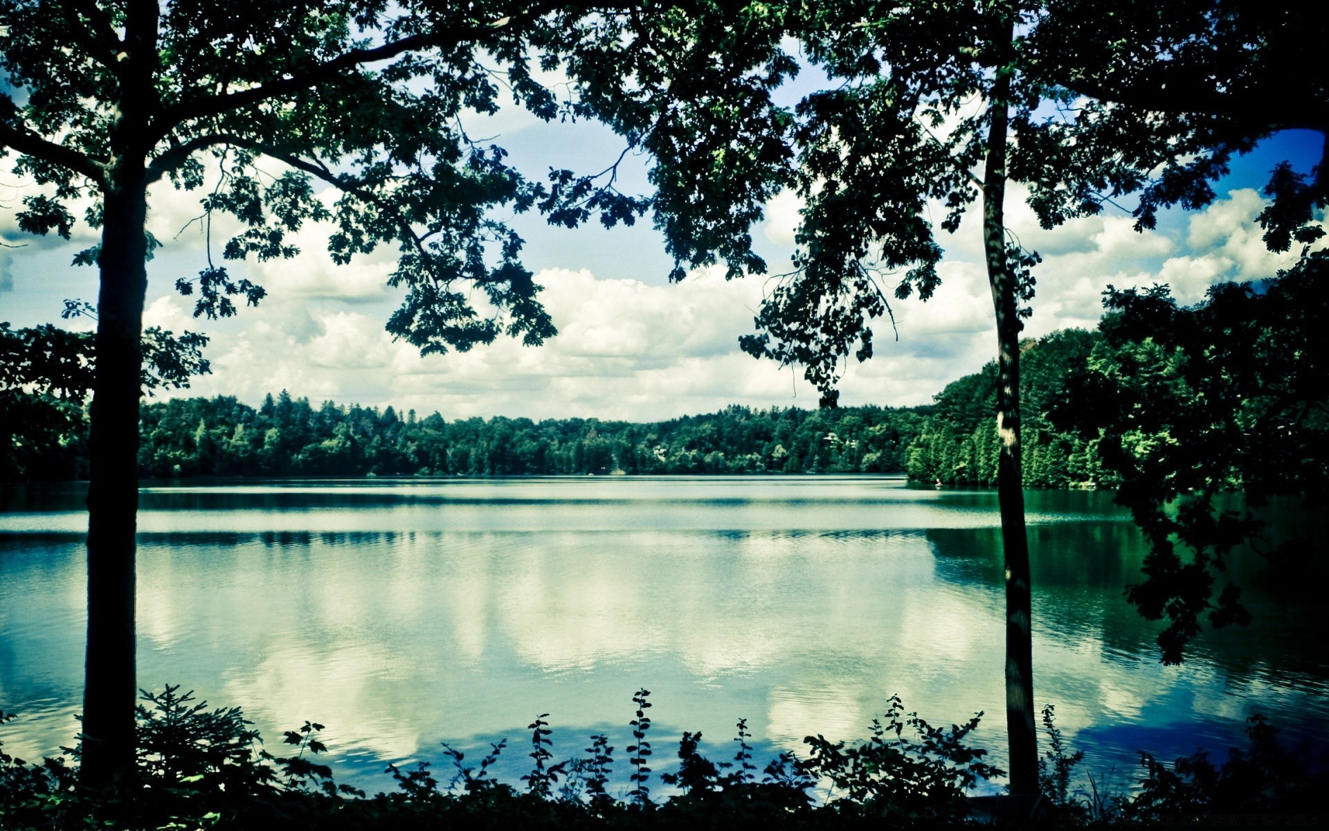 lago árbol agua naturaleza paisaje reflexión al aire libre madera cielo parque río