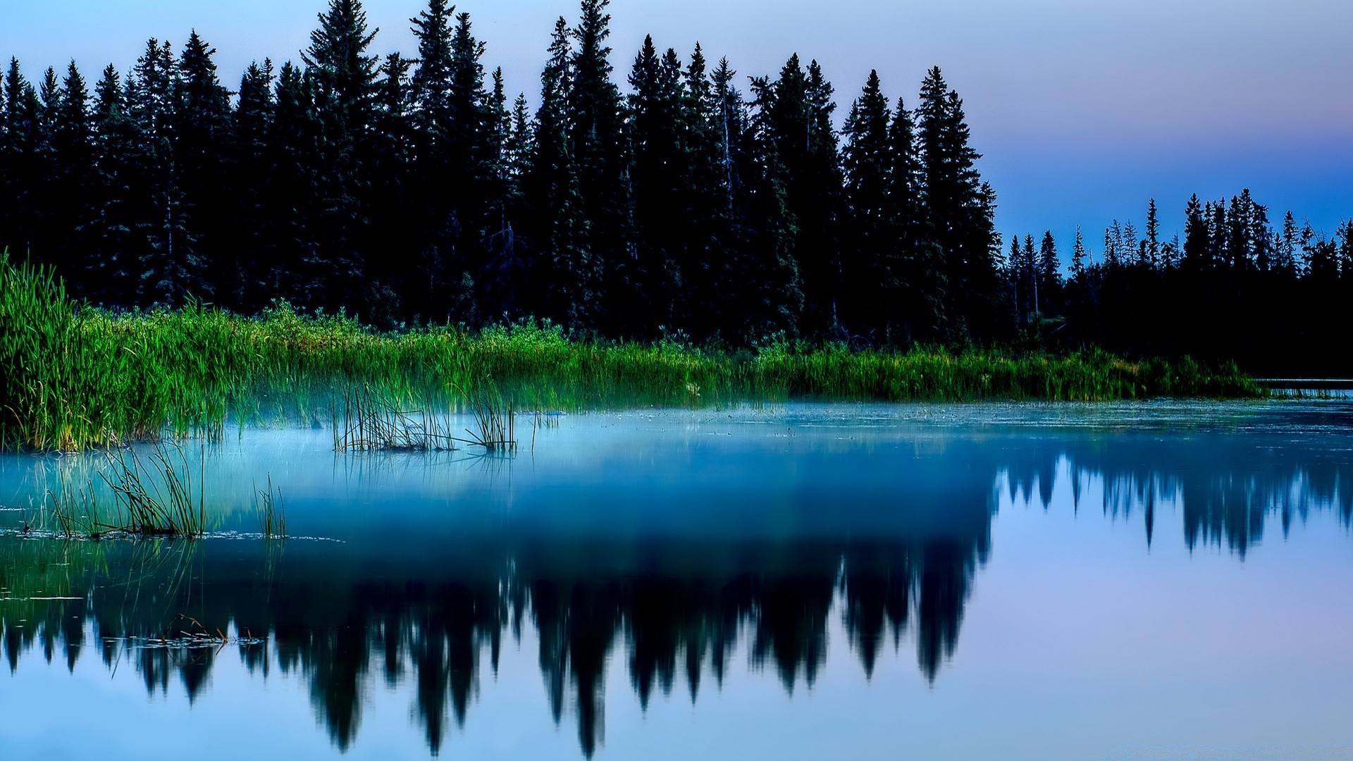 lac réflexion eau nature en plein air bois bois paysage rivière