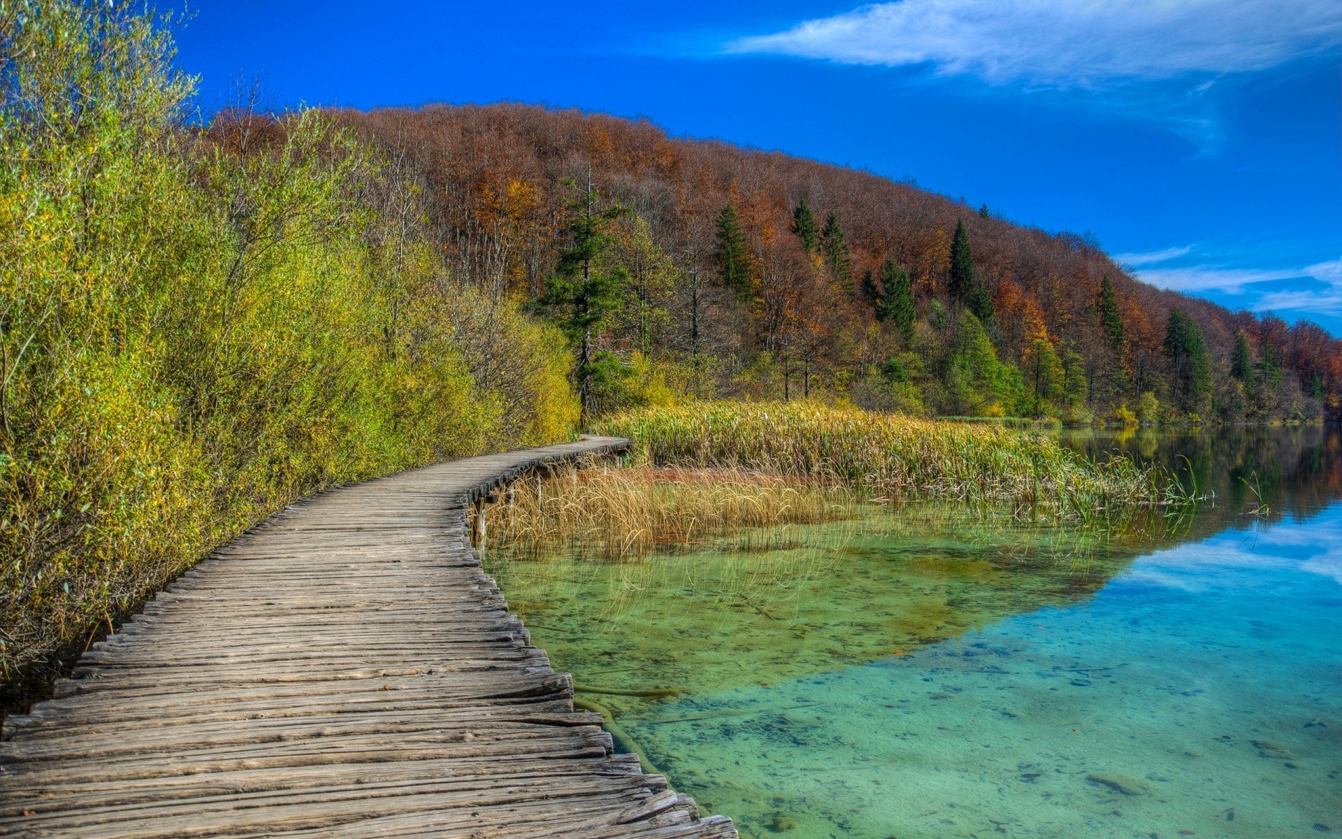 lac nature eau paysage bois ciel voyage bois scénique à l extérieur rivière montagne été herbe