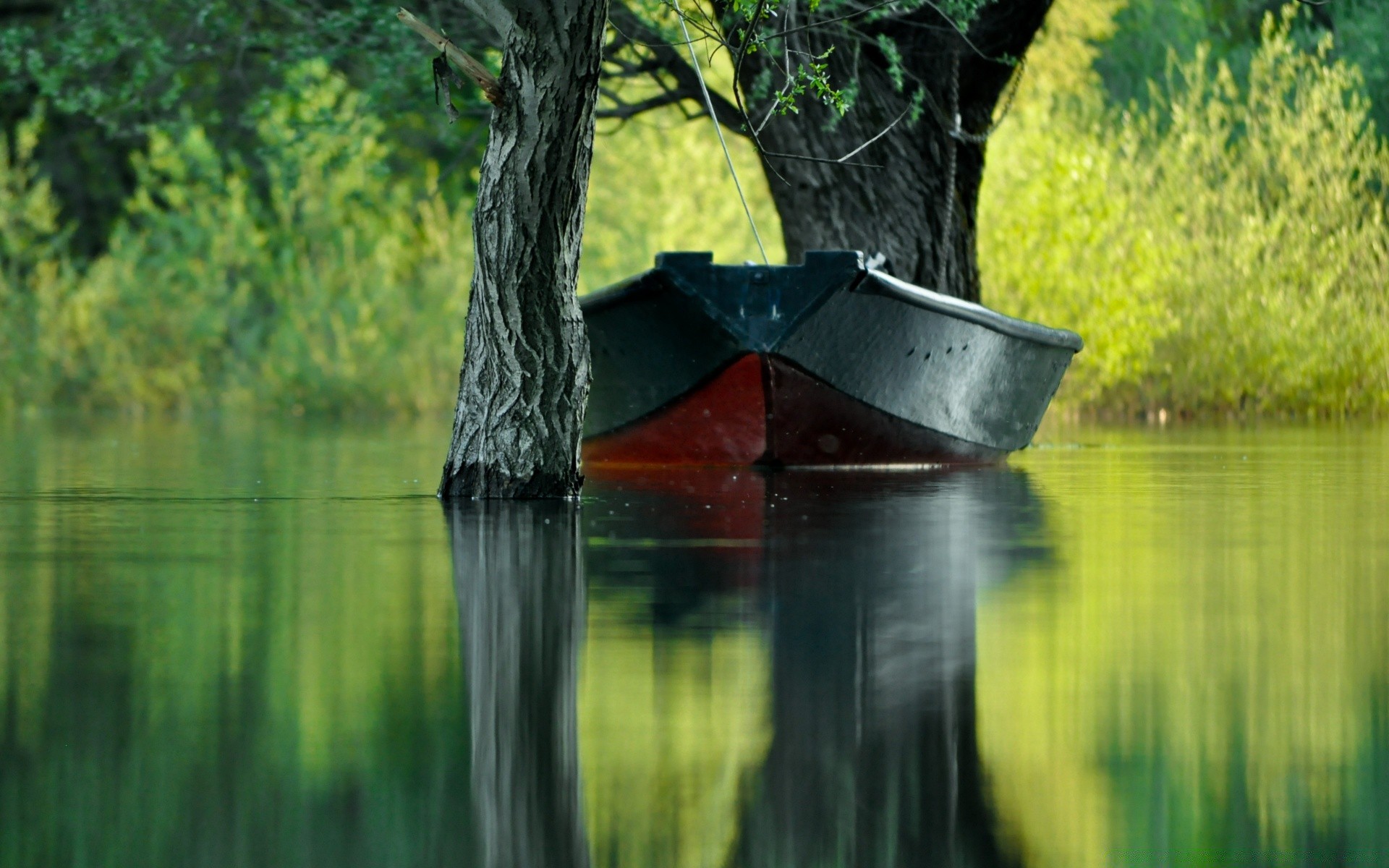 lago acqua all aperto natura riflessione legno estate pioggia fiume paesaggio albero autunno bagnato freddo piscina