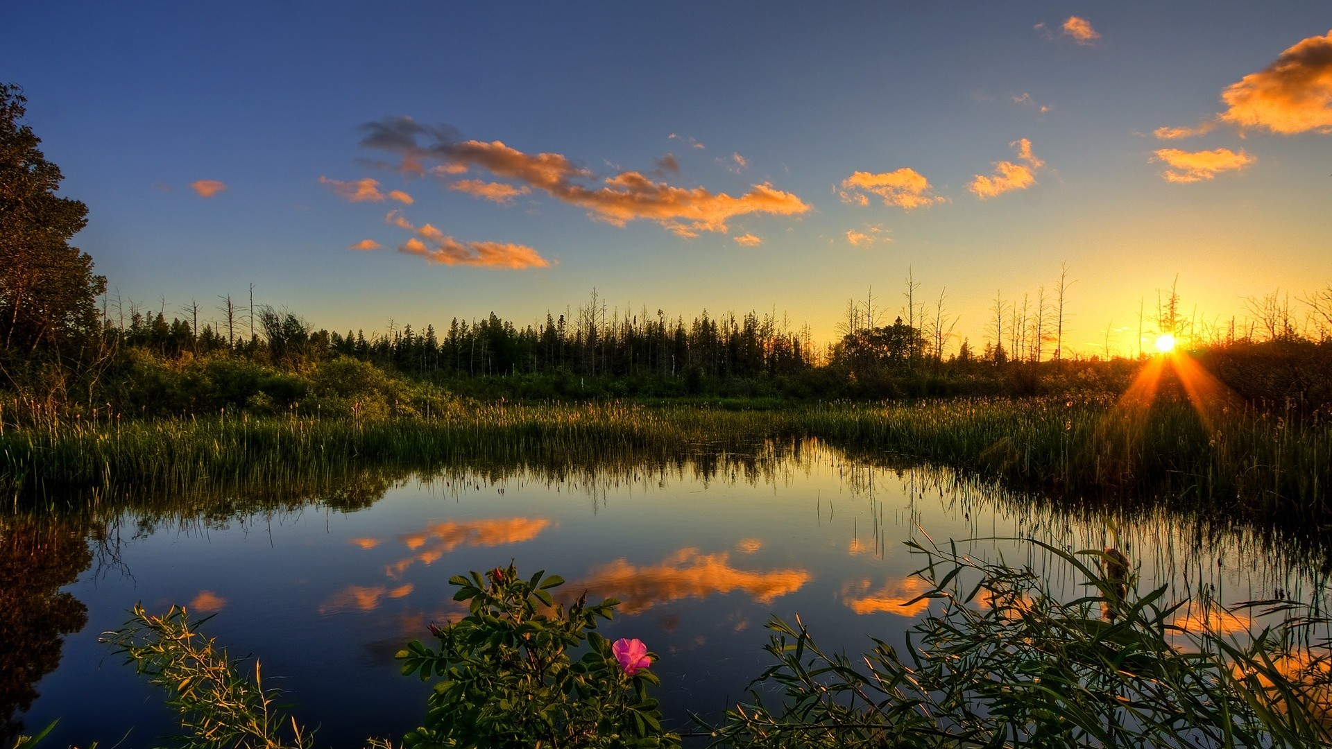 lac réflexion aube coucher de soleil eau paysage nature soir arbre soleil ciel rivière à l extérieur automne crépuscule beau temps