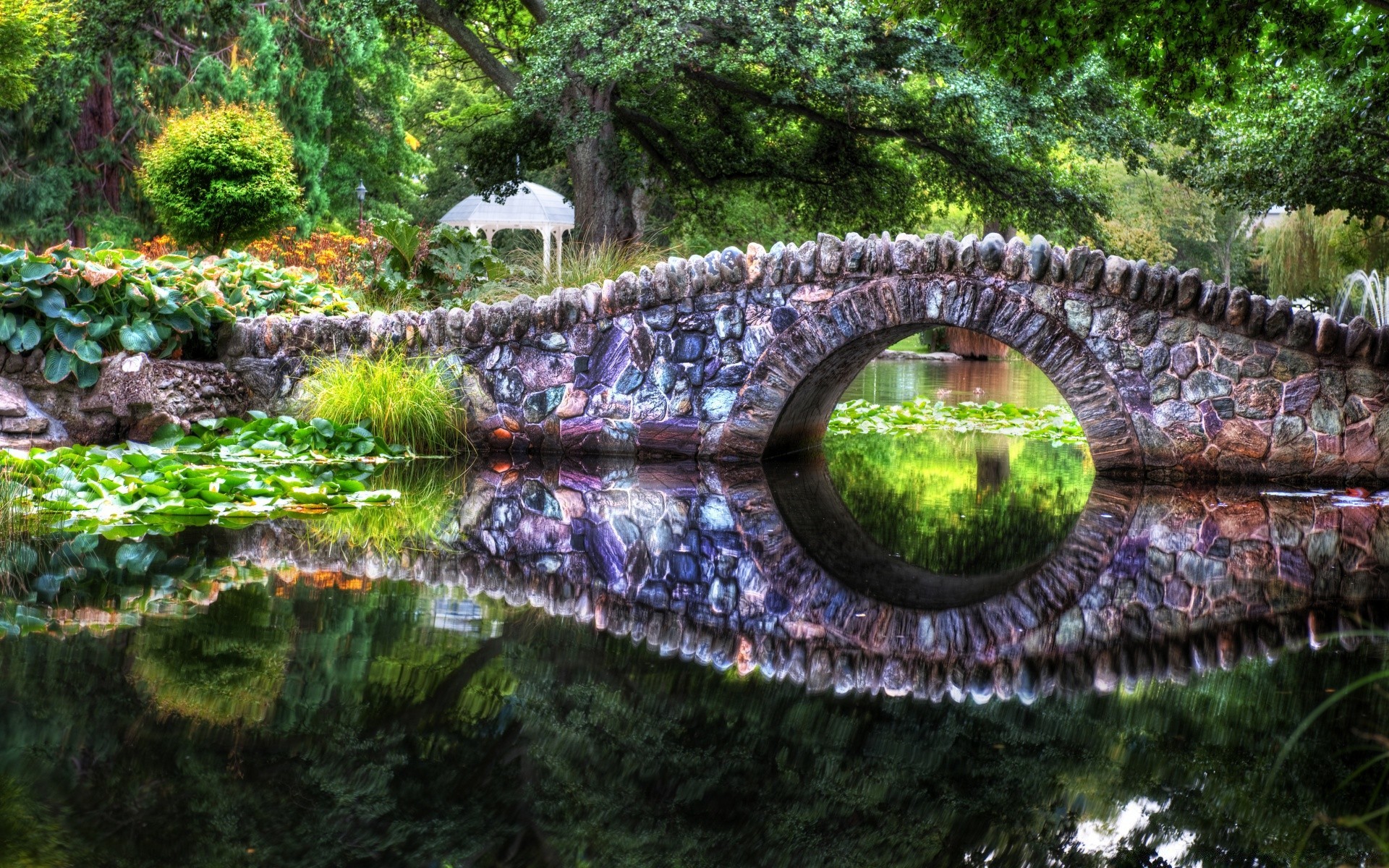 lac nature eau spectacle belle jardin parc arbre paysage couleur flore bureau été feuille