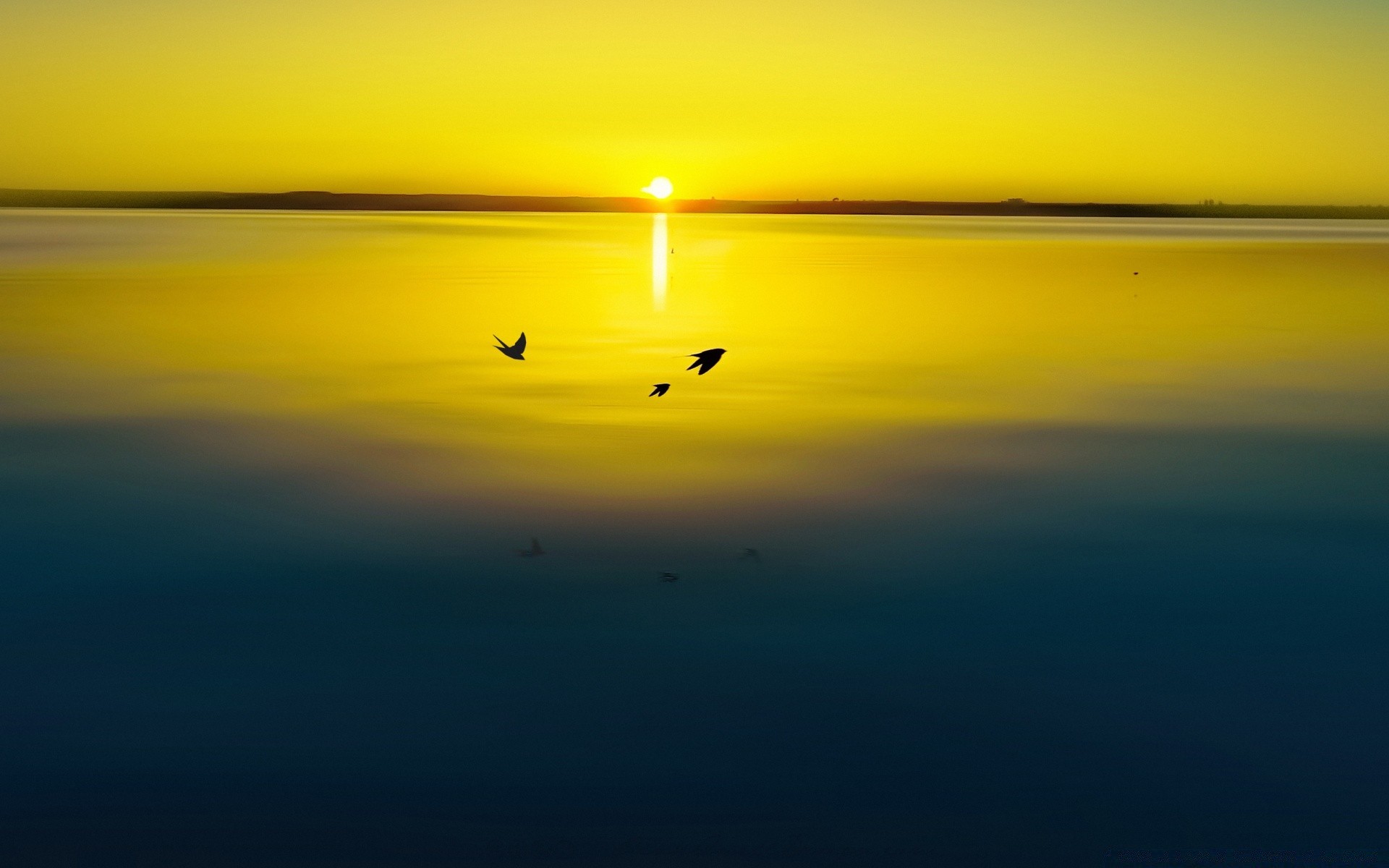 lac coucher de soleil plage mer eau océan réflexion soleil ciel soir paysage crépuscule aube lumière paysage vague nature mer