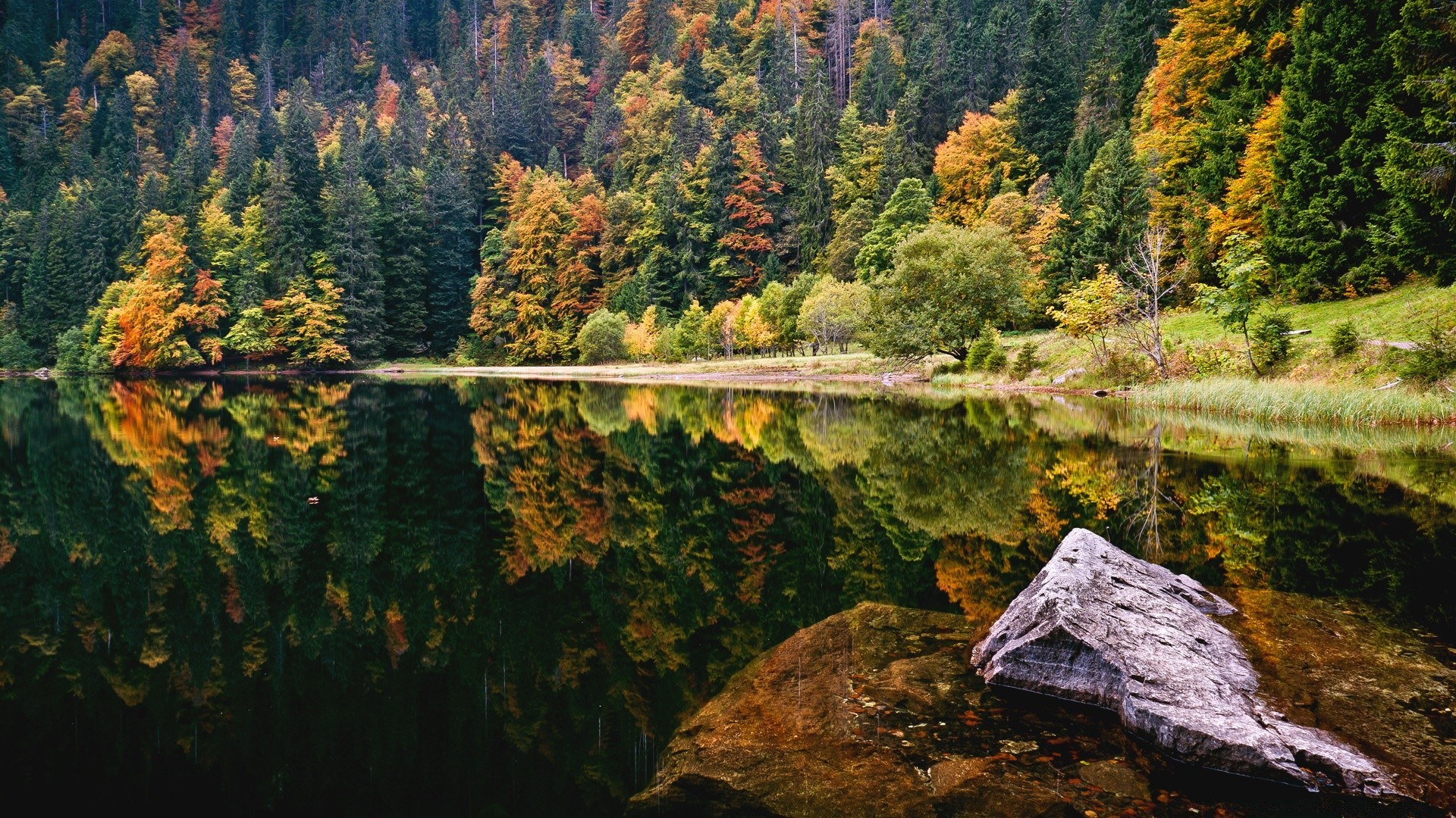 lago madera árbol naturaleza paisaje otoño al aire libre escénico agua hoja montaña río viajes parque paisaje medio ambiente reflexión luz del día temporada