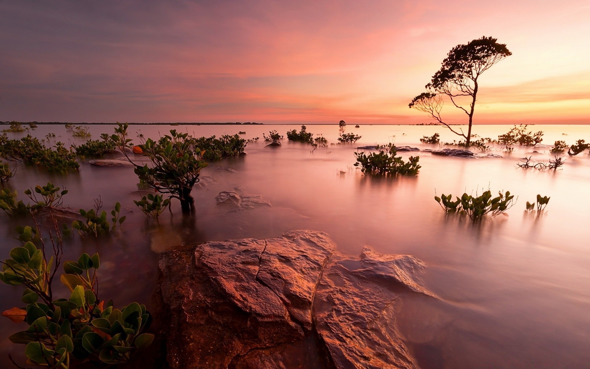 lac coucher de soleil eau plage aube voyage soir ciel mer océan nature paysage soleil crépuscule mer réflexion arbre été paysage île