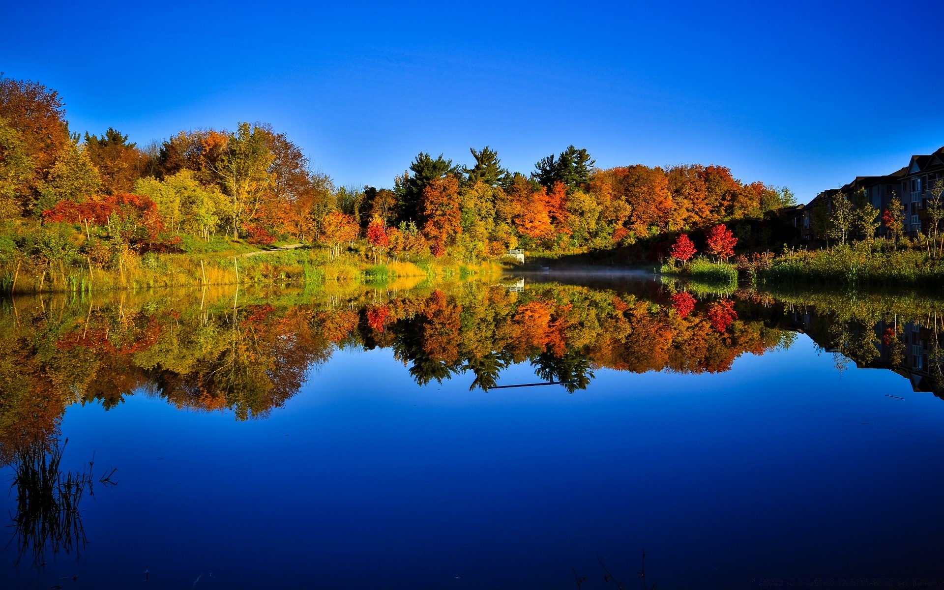 lake water nature reflection tree outdoors fall dawn landscape river sky leaf sunset travel