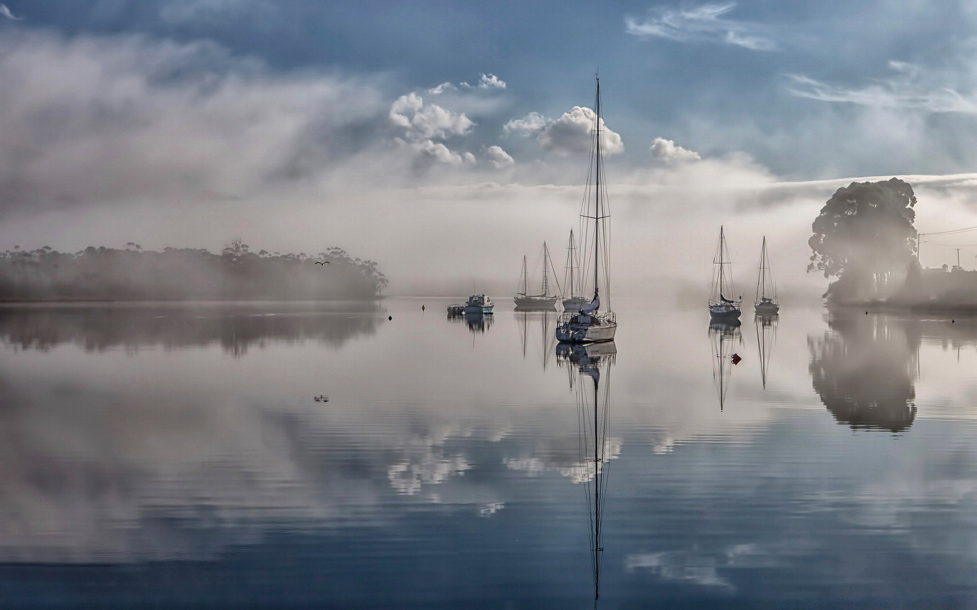 lake fog water mist dawn sky smoke sunset landscape nature