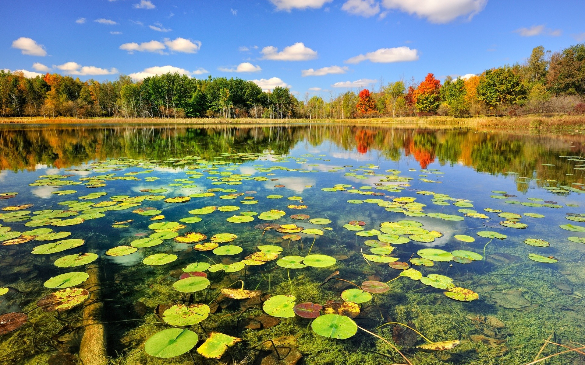 lago agua piscina reflexión paisaje naturaleza río madera hermoso escénico hoja parque árbol al aire libre temporada sangre fría cielo viajes medio ambiente