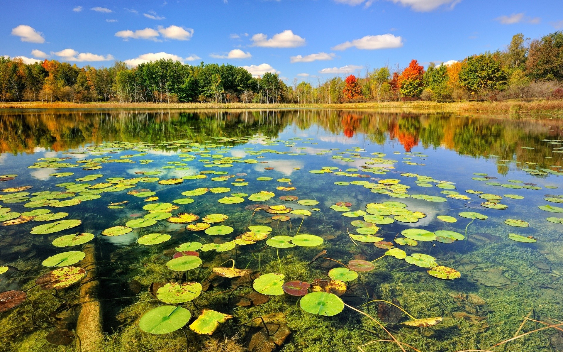 lac eau piscine réflexion nature paysage rivière feuille belle parc scénique à l extérieur environnement saison bois sang-froid bois couleur voyage