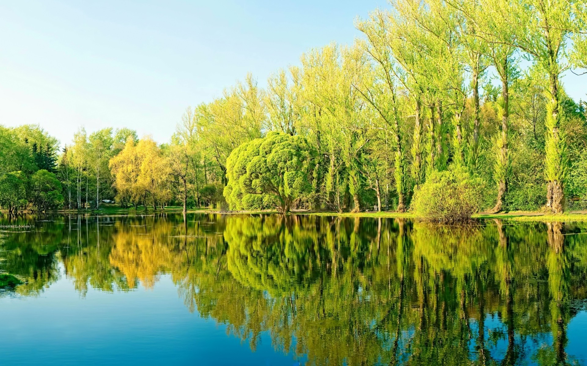 lago natura acqua riflessione albero paesaggio legno estate fiume piscina foglia stagione flora cielo erba parco scenic rurale all aperto spettacolo