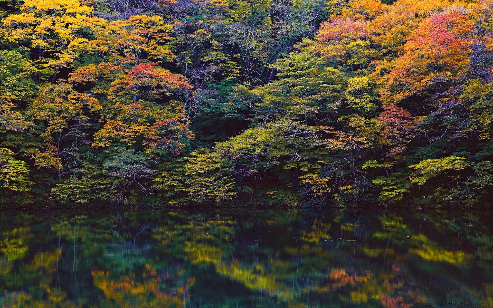 lago autunno foglia albero paesaggio legno natura acero all aperto desktop parco stagione scenic colore luce del giorno ambiente acqua lussureggiante flora paesaggio