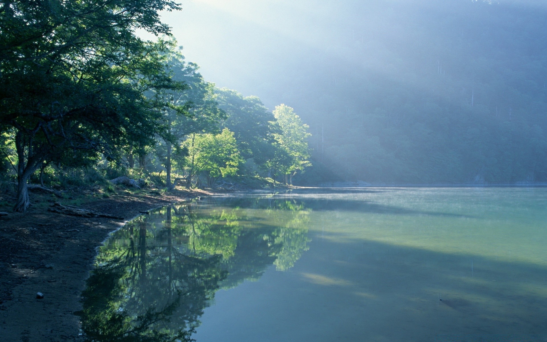 湖泊 水域 旅游 海洋 景观 树 自然 夏天 海滩 岛屿 海洋 天空 海 风景 户外 反射