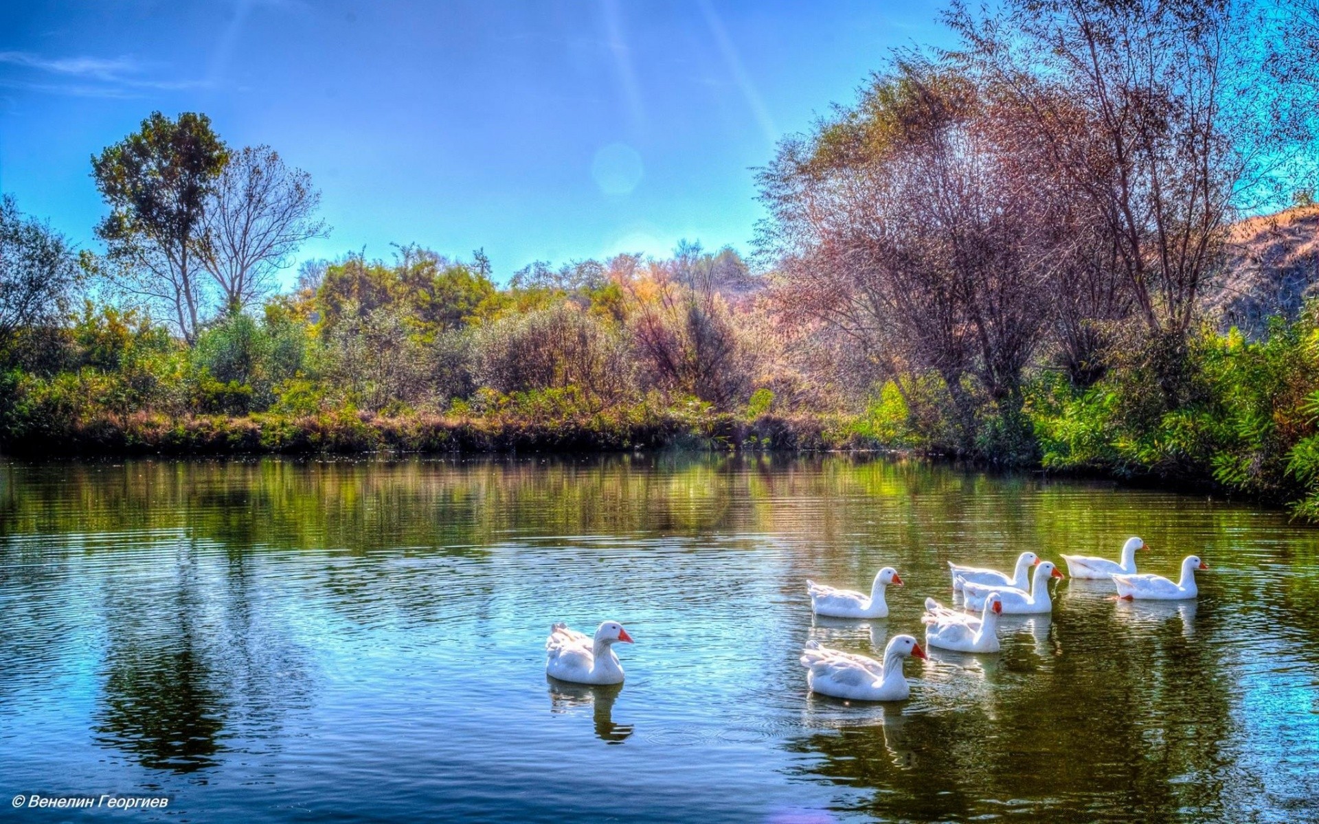 lake water reflection nature tree river park landscape outdoors beautiful sky summer travel pool wood scenic