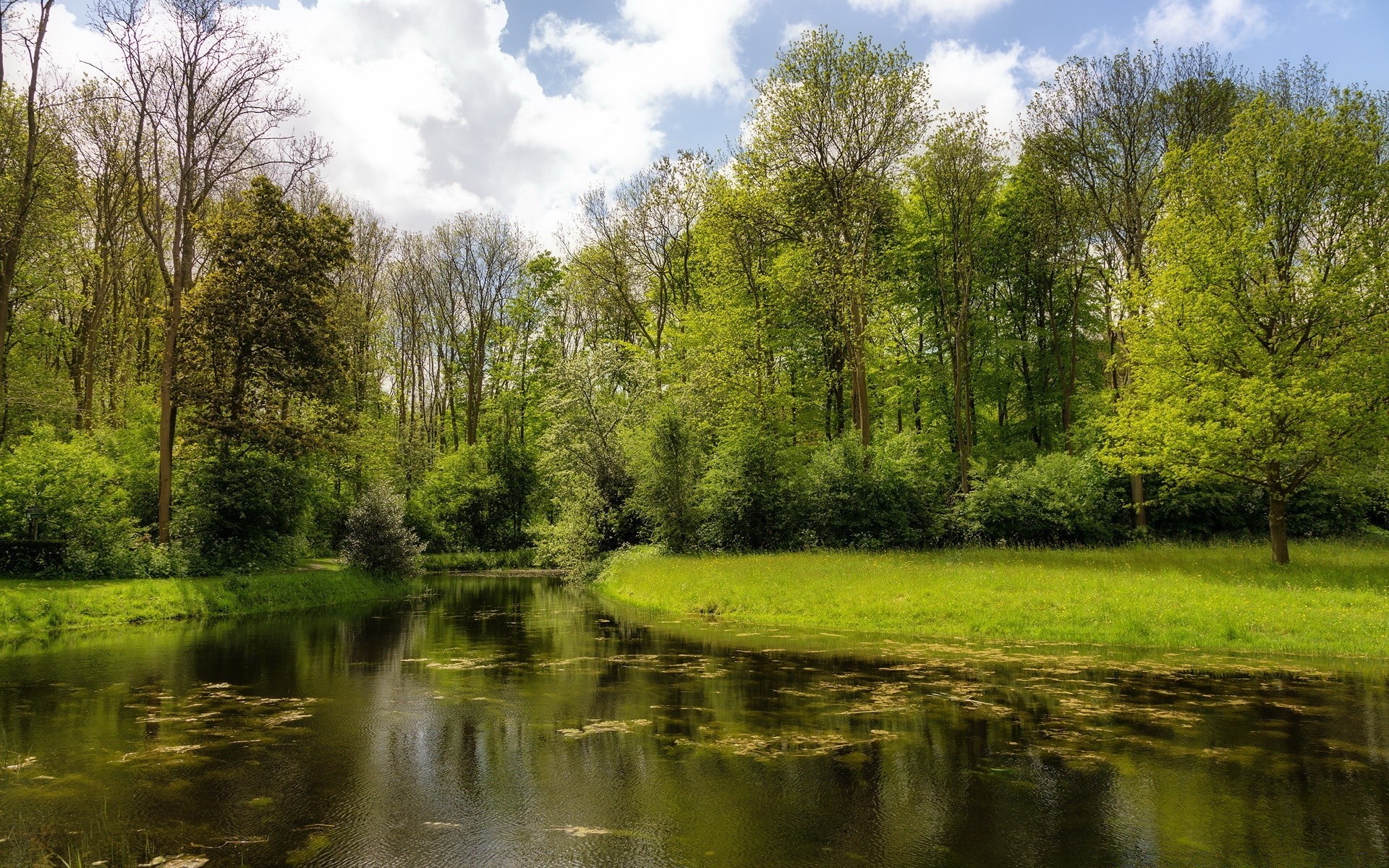 lake nature landscape tree wood grass water outdoors pool rural river reflection summer composure countryside park environment fair weather