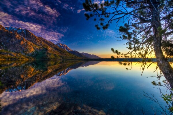 Naturaleza Serena junto a un lago tranquilo