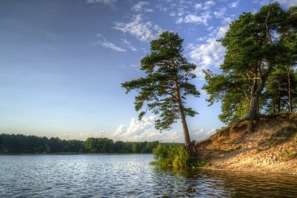 Hermoso paisaje del río y los árboles