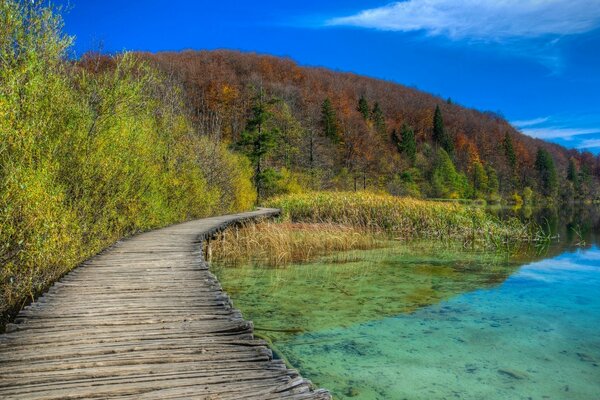 Un lugar de paz y relajación