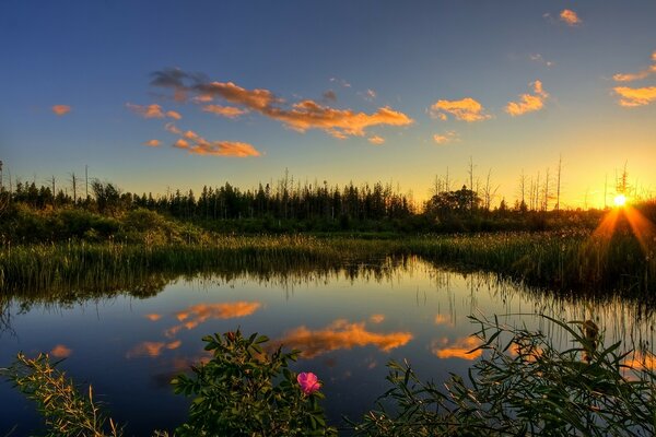 Reflexão do céu suave na superfície calma da água