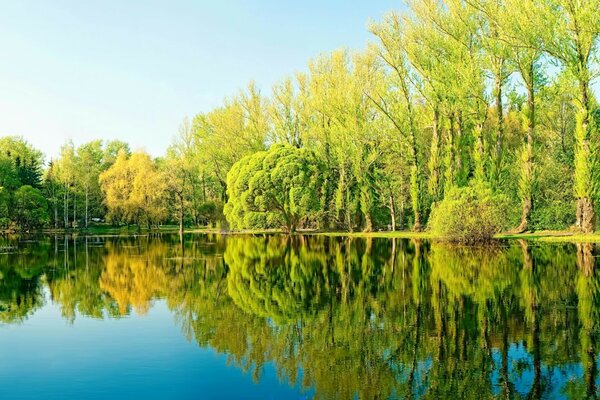 Hermosa naturaleza a principios de otoño