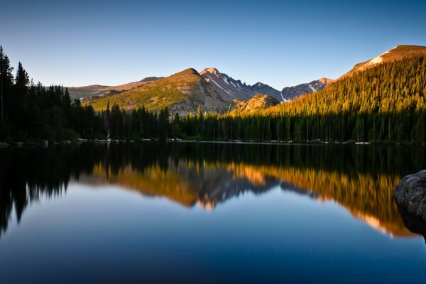 A lake at the edge of a dense forest