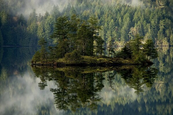 Schöne Landschaft auf einem schönen Wald