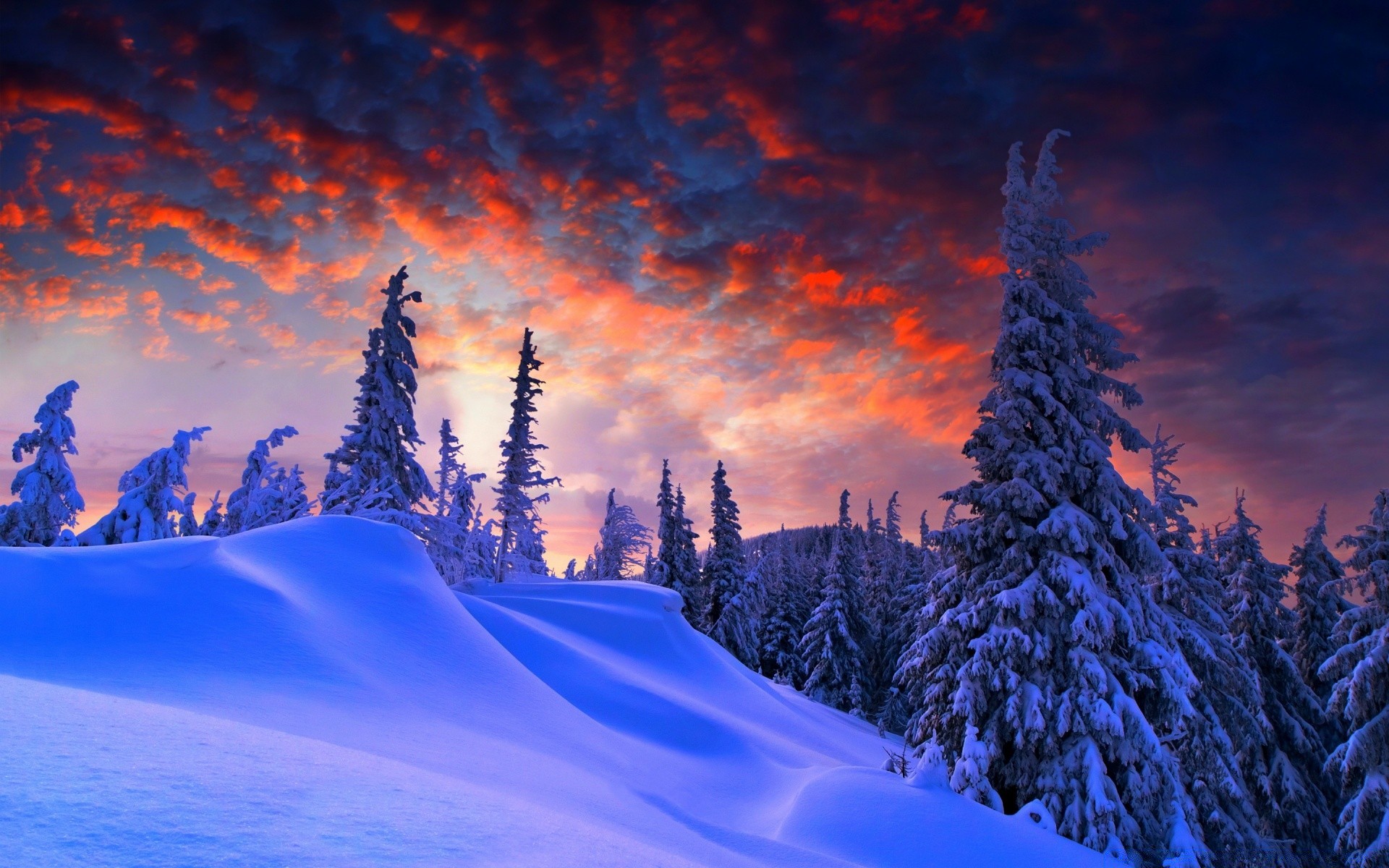 mountains snow winter mountain cold scenic wood landscape