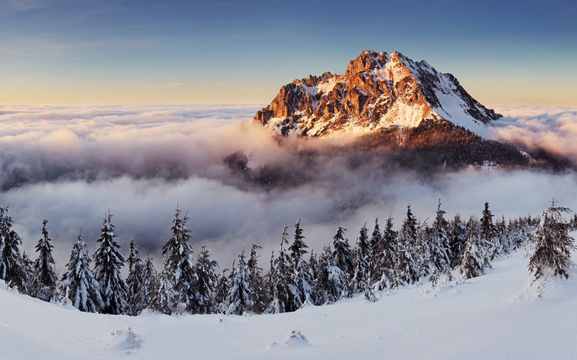 山 雪 山 冬天 景观 冷 风景 冰 天空 自然 户外 木材 顶峰 山 好天气 山顶