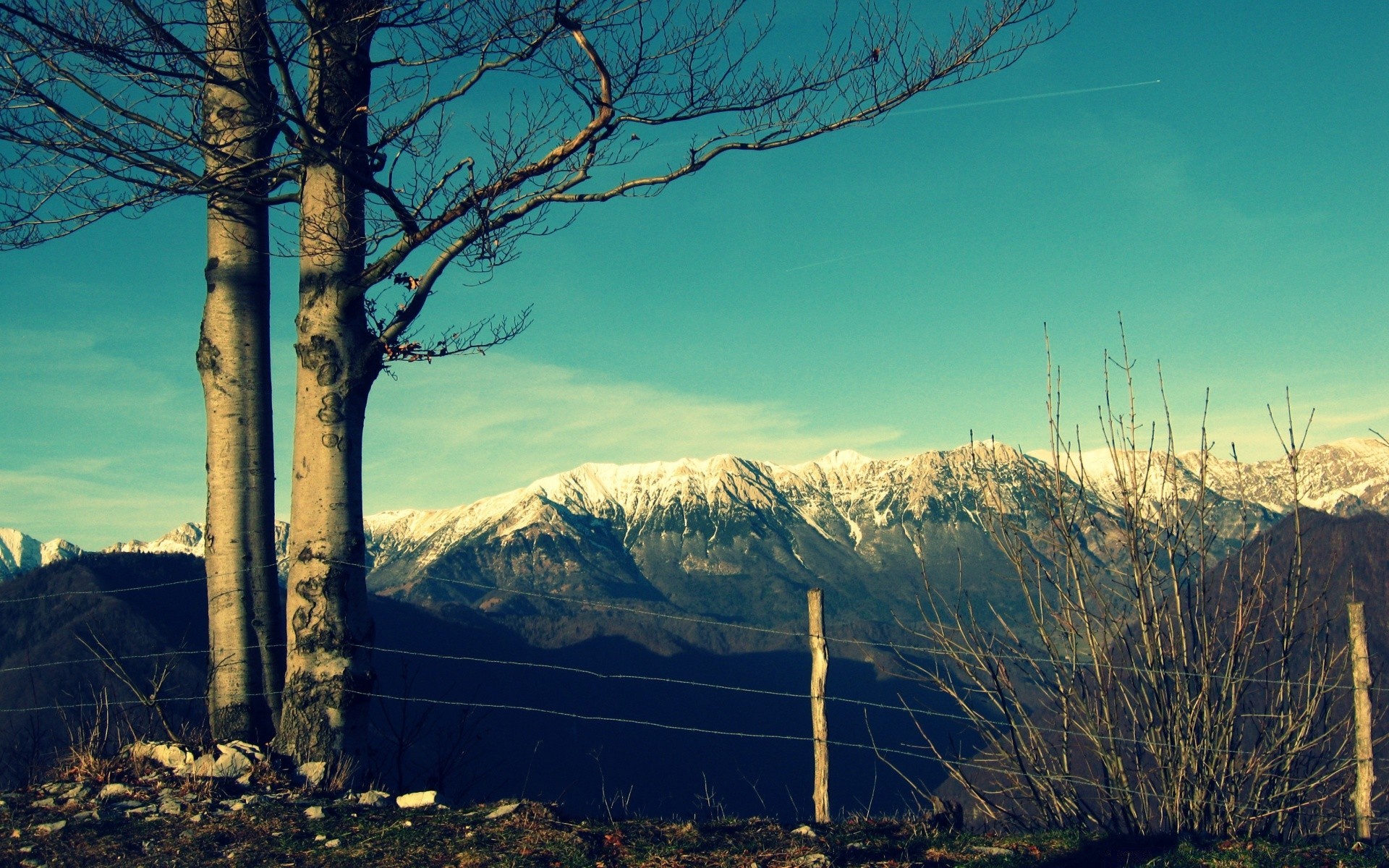 montagna paesaggio albero natura cielo alba neve legno all aperto inverno viaggi tramonto autunno luce montagna nebbia sera