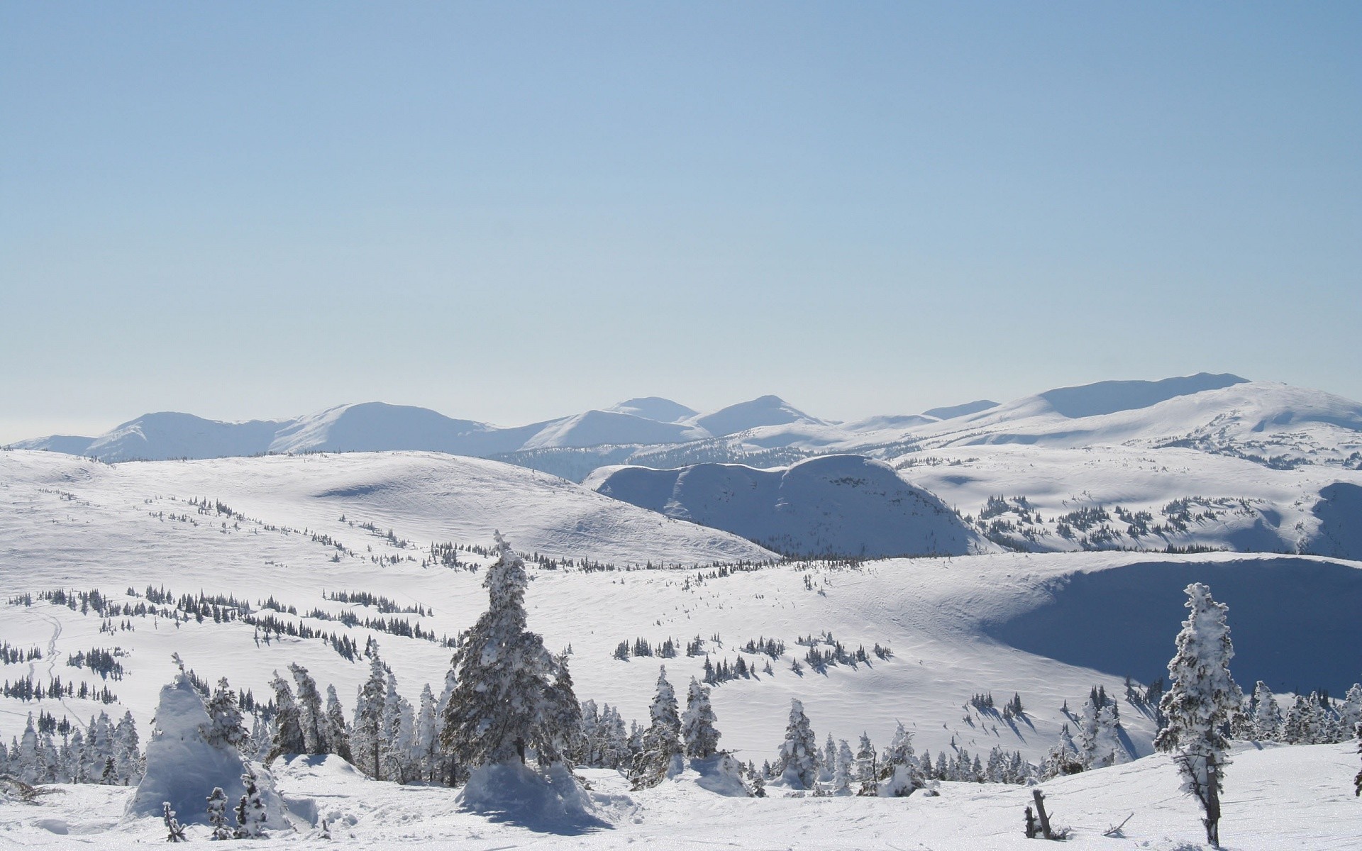 dağlar kar kış dağlar soğuk çare tepe dağ tepe doğal buz manzara karlı ahşap donmuş alp seyahat vadi ağaç don panorama