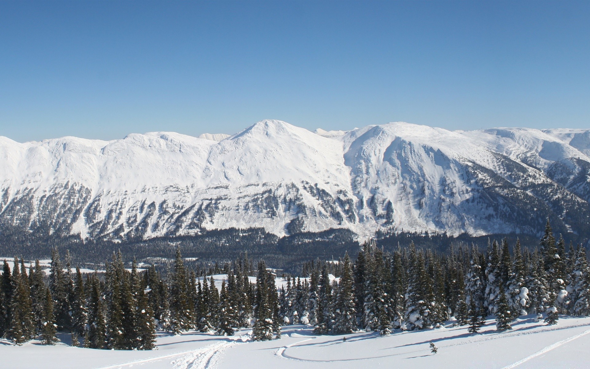 山 雪 山 冬天 寒冷 度假村 雪 风景 山峰 冰 山 木 高山 冰川 全景 滑雪场 滑雪场 滑雪场 雪 谷 常绿