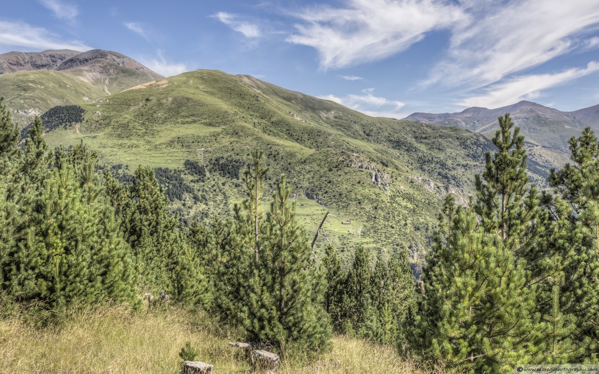 montagna paesaggio montagna natura cielo all aperto viaggi albero collina legno valle scenico nuvola estate erba spettacolo turismo fieno campo