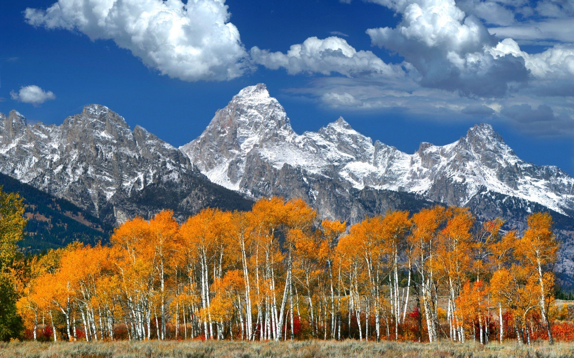 mountains mountain snow wood landscape scenic fall tree outdoors daylight mountain peak nature wild season majestic