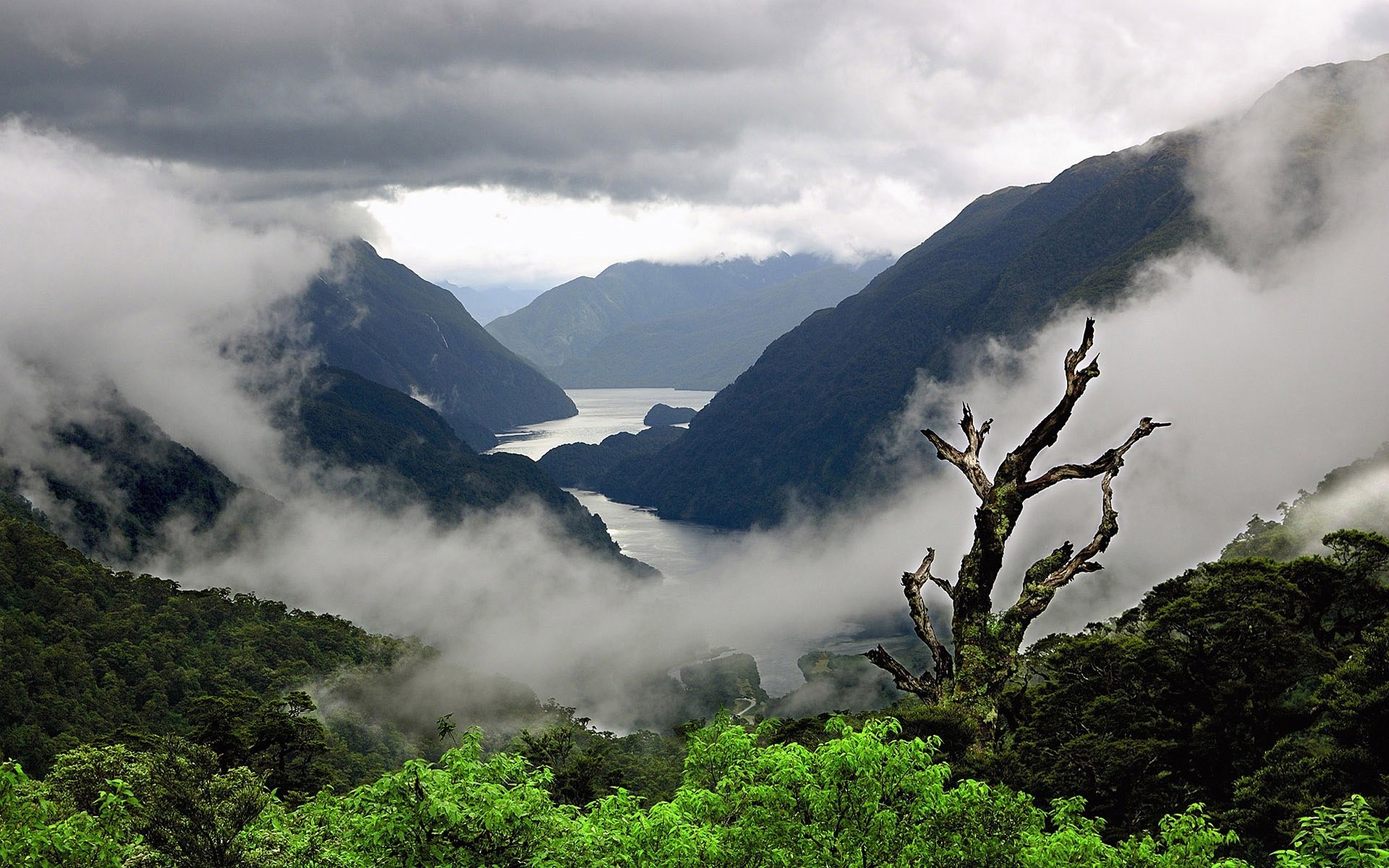 berge berge reisen natur landschaft nebel wasser im freien nebel holz himmel holz tal rock