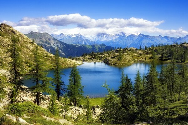 Alrededor del lago hay un bosque de abetos y montañas