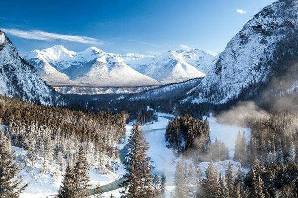 Заснеженный горный пейзаж с деревьями