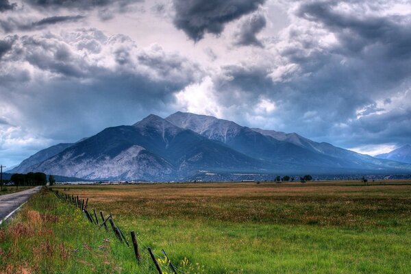 Green meadow on the background of blue mountains