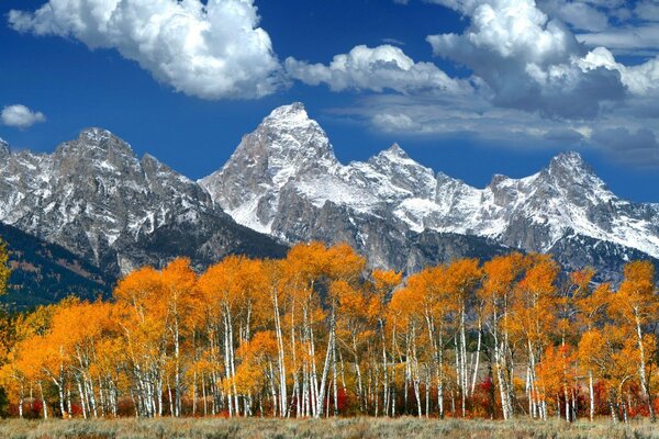 Paisaje de otoño dorado en las montañas