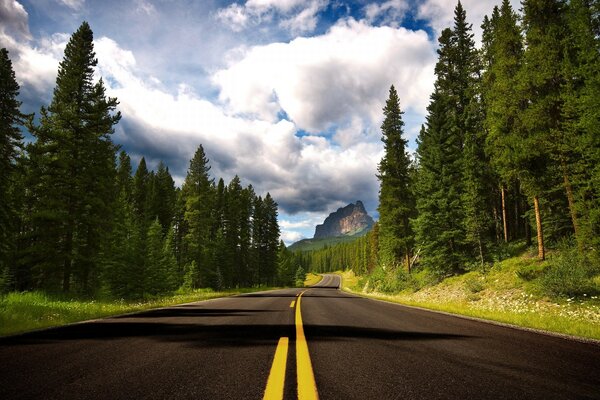 Route entre forêt et montagne