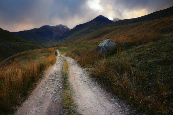 Dirt road through a field in autumn