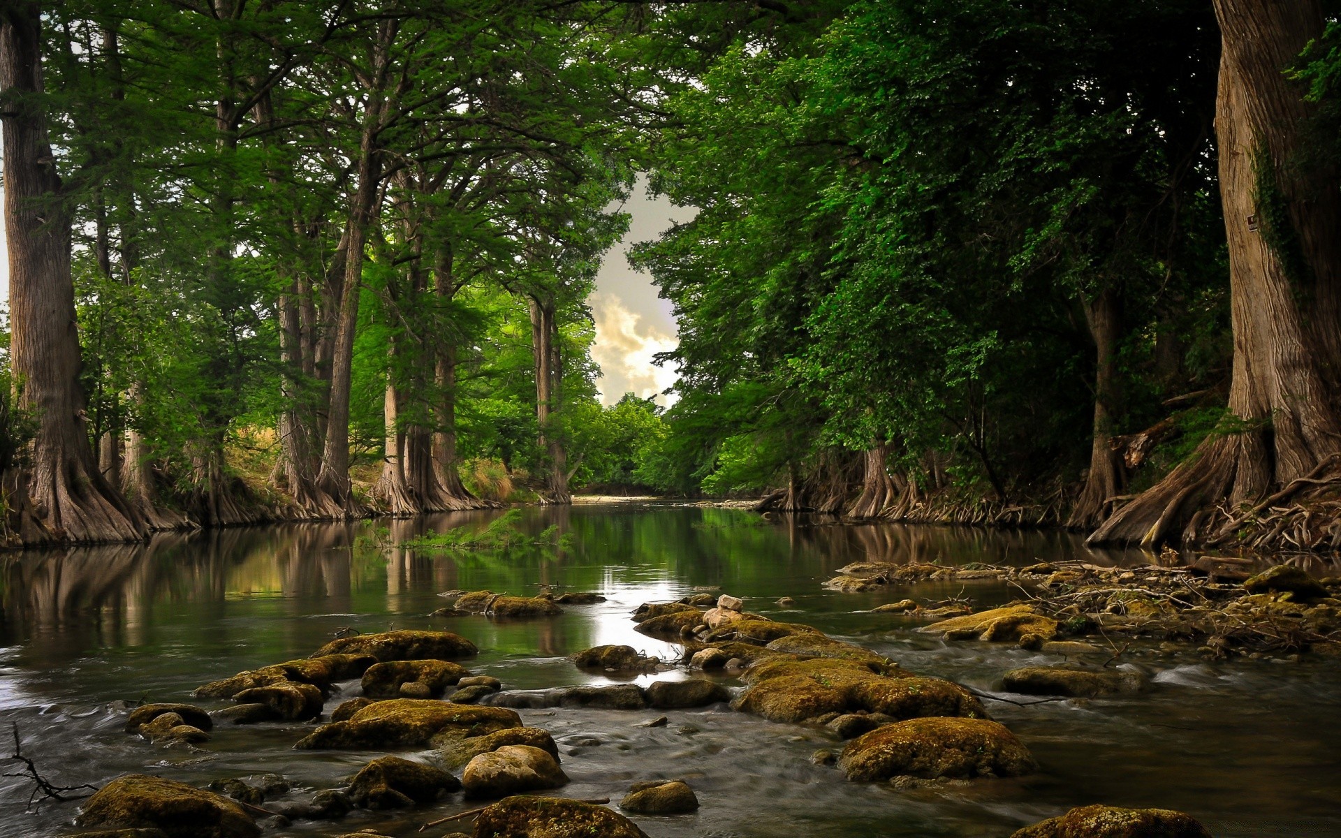 flüsse teiche und bäche teiche und bäche wasser natur holz fluss holz blatt landschaft im freien herbst reisen fluss sommer