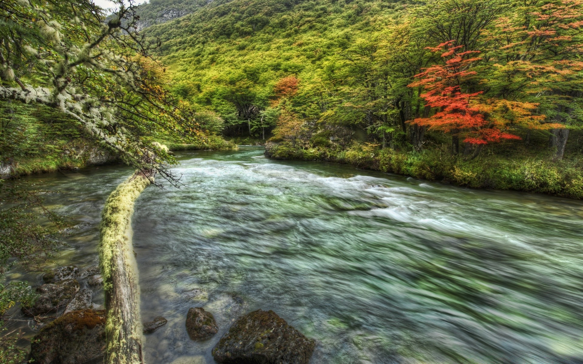 rivers ponds and streams water river stream nature landscape waterfall wood flow rock travel tree moss environment outdoors creek scenic cascade stone leaf