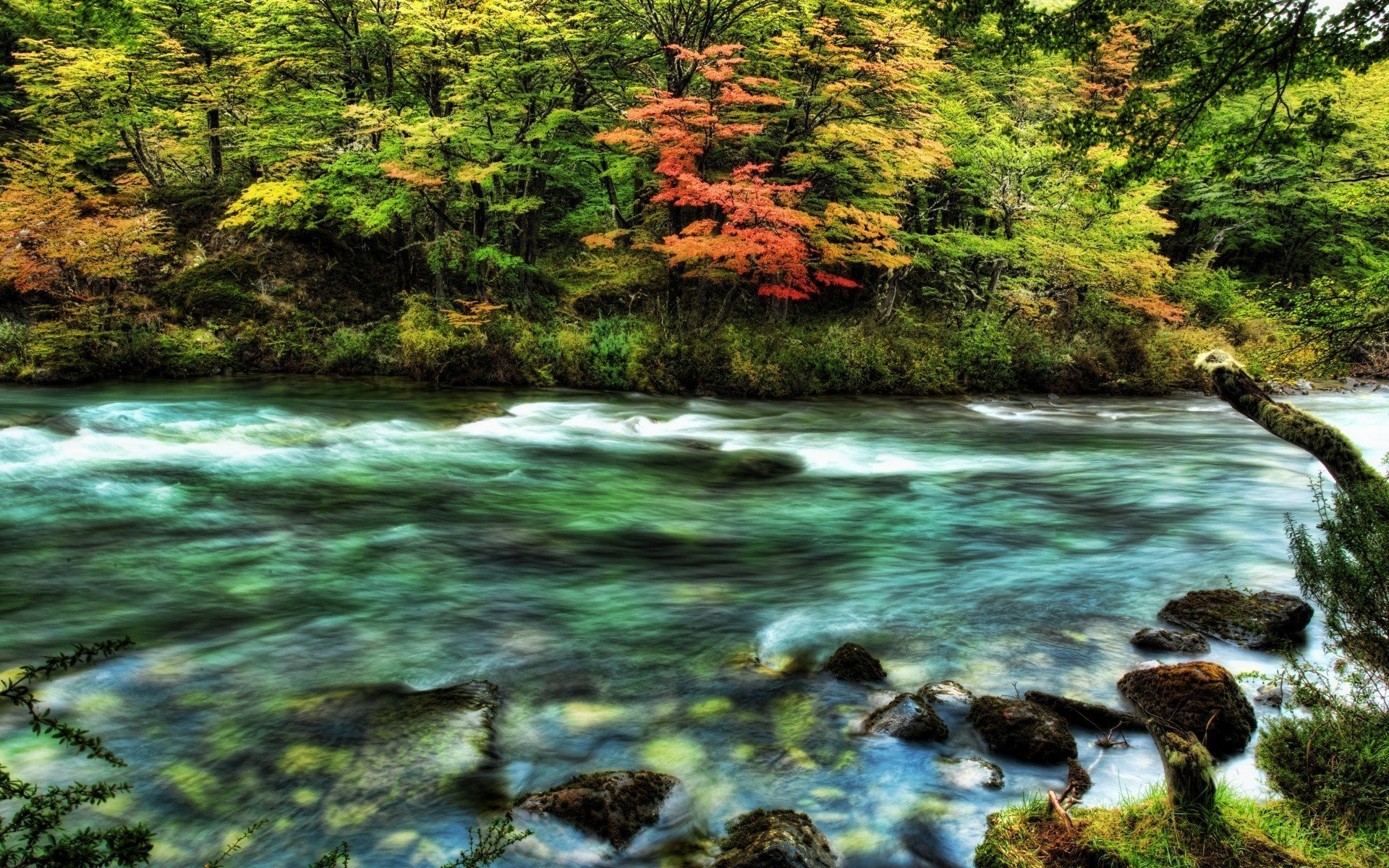 rivers ponds and streams water nature wood stream river landscape tree rock travel waterfall leaf fall creek outdoors flow scenic cascade beautiful scenery