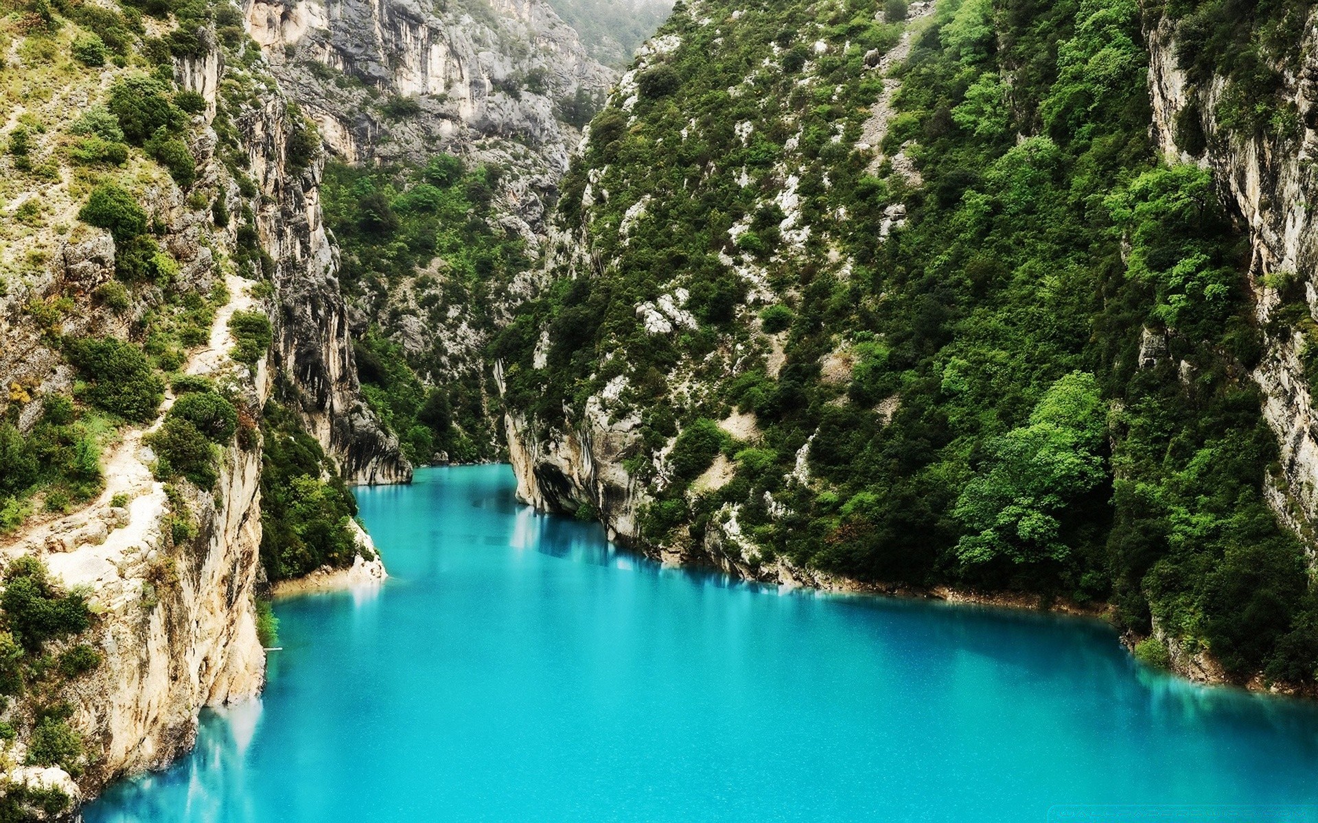 flüsse teiche und bäche teiche und bäche wasser natur reisen tropisch holz landschaft sommer paradies rock fluss baum urlaub berge insel türkis tourismus landschaftlich spektakel idylle