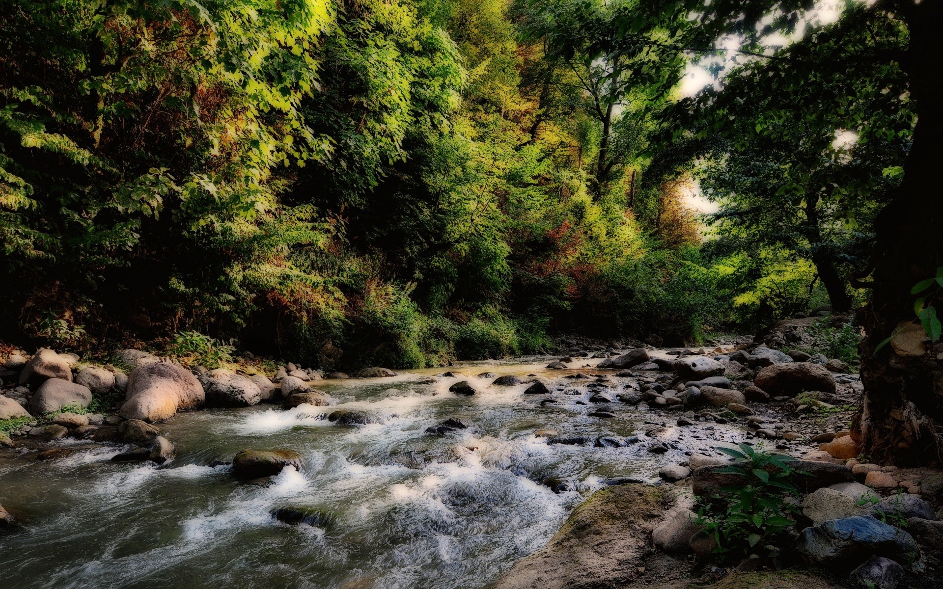 rivières étangs et ruisseaux étangs et ruisseaux eau nature bois rivière paysage à l extérieur flux cascade arbre feuille voyage automne rock montagnes