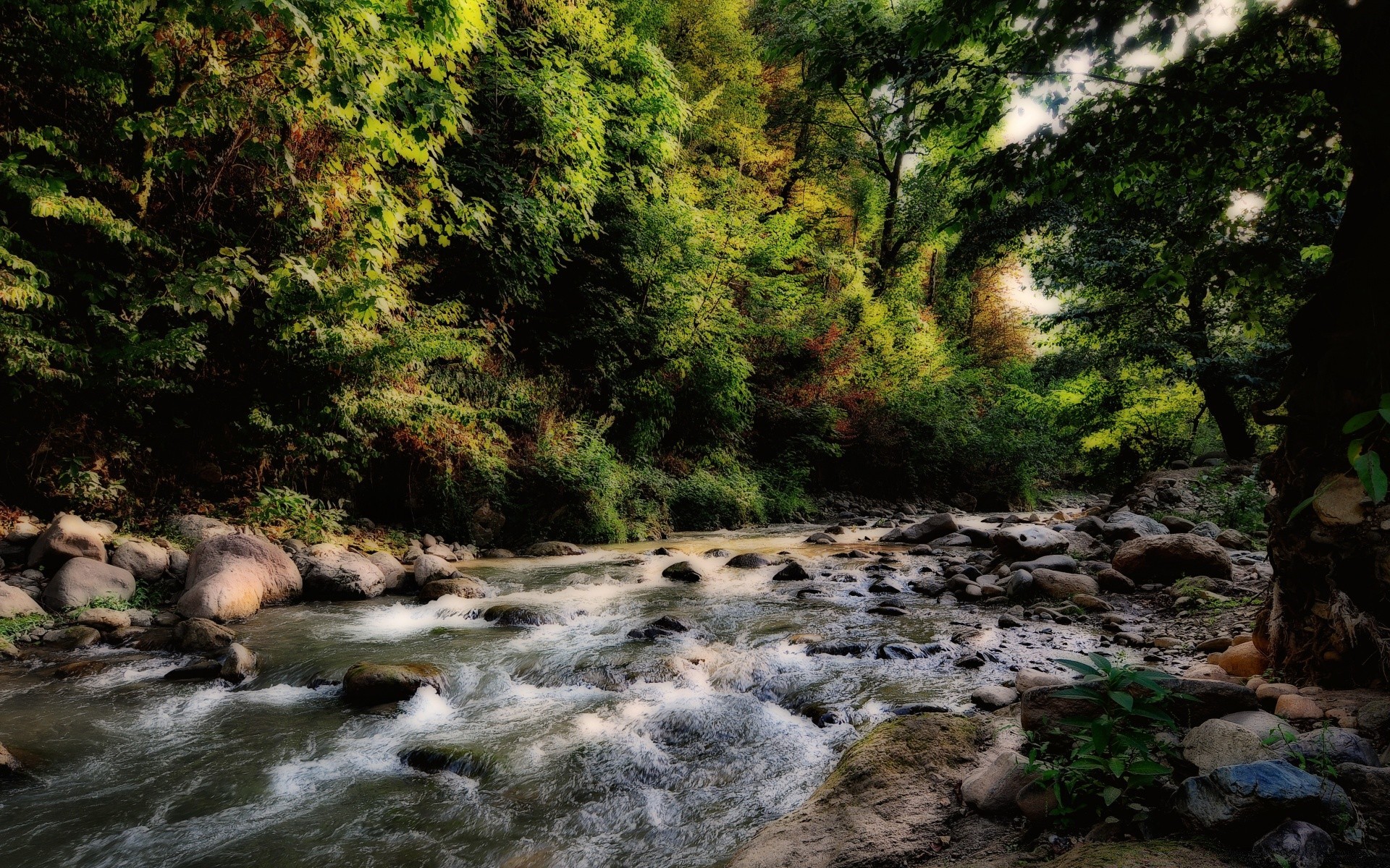 fiumi stagni e torrenti stagni e torrenti acqua natura legno fiume paesaggio all aperto flusso cascata albero foglia viaggio autunno roccia montagna