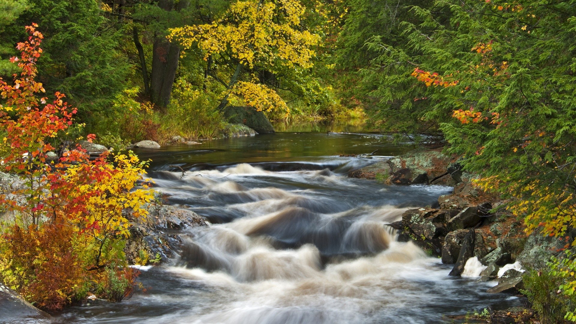 rzeki stawy i strumienie stawy i strumienie jesień woda liść strumień rzeka natura na zewnątrz - rapids wodospad drewno krajobraz drzewo creek sceniczny strumień park klon bujne podróże