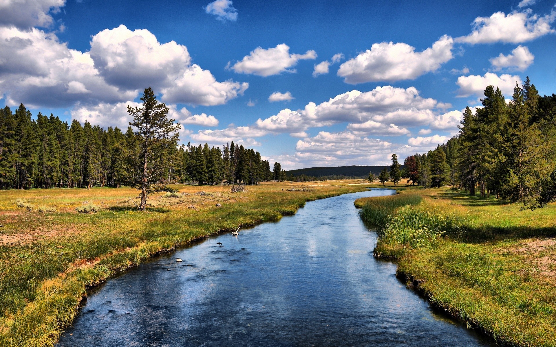 fiumi stagni e torrenti stagni e torrenti acqua natura paesaggio all aperto lago fiume legno albero riflessione erba cielo viaggi estate