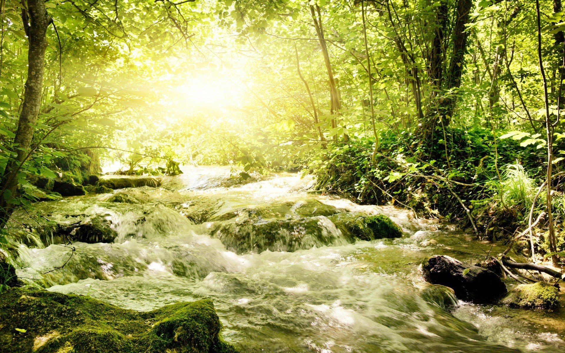 rios lagoas e córregos lagoas e córregos natureza madeira água paisagem musgo rio córrego folha cachoeira árvore ambiente selvagem ao ar livre creek parque molhado exuberante cênica verão