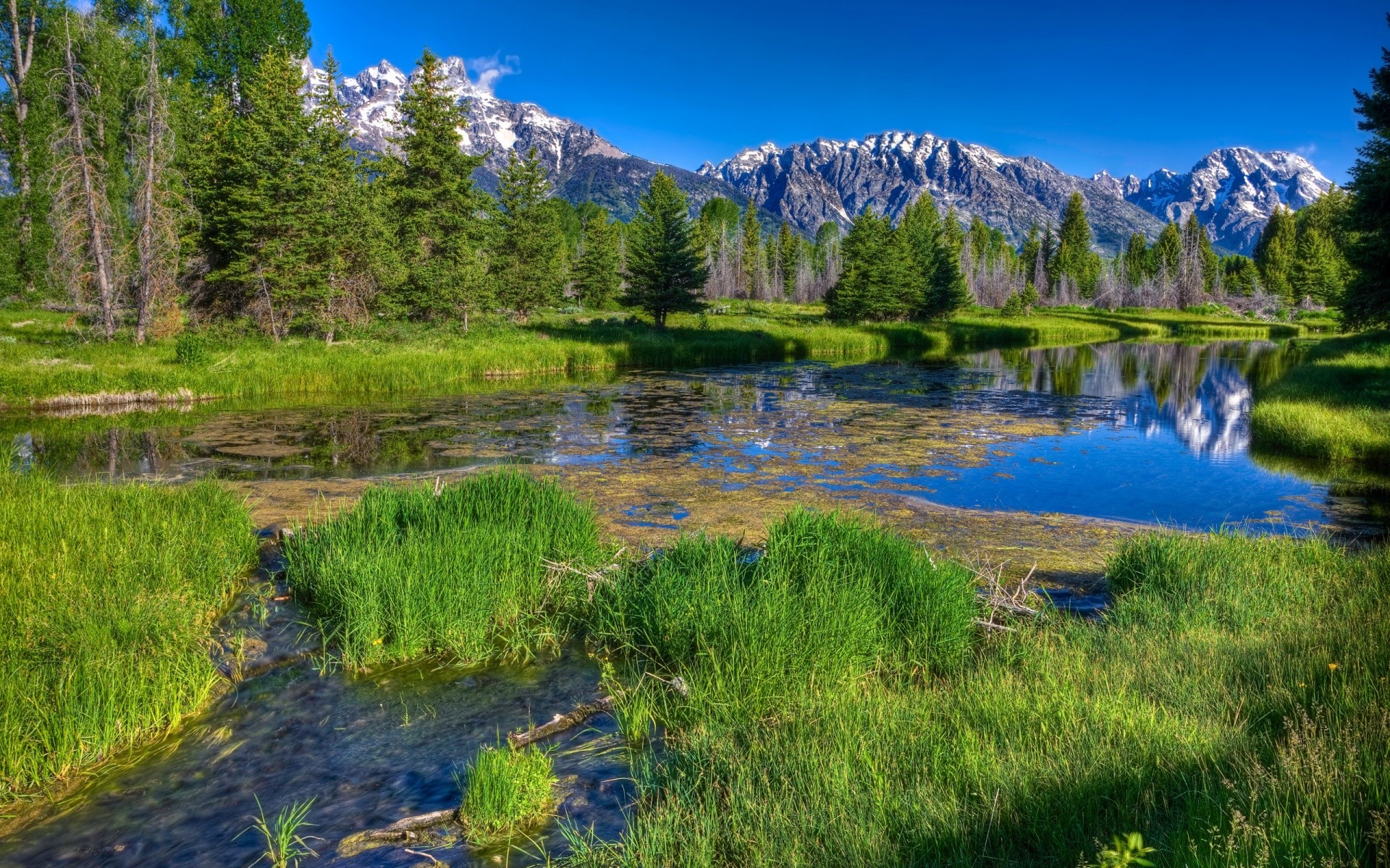 rivières étangs et ruisseaux étangs et ruisseaux lac eau réflexion nature paysage bois scénique à l extérieur montagnes voyage rivière ciel piscine bois lumière du jour herbe été sauvage paysages