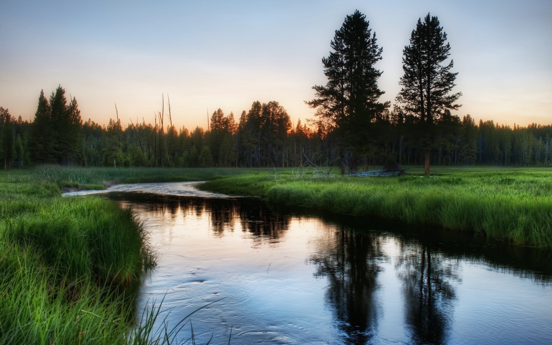 flüsse teiche und bäche teiche und bäche see wasser reflexion landschaft fluss natur im freien baum himmel holz morgendämmerung pleside schwimmbad